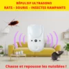 2-RUS9 mise en situation Répulsif ultrasons et électromagnétiques rats et souris