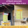 2-AMOU4- mise en situation + arguments Piège à mouches grand format Acto